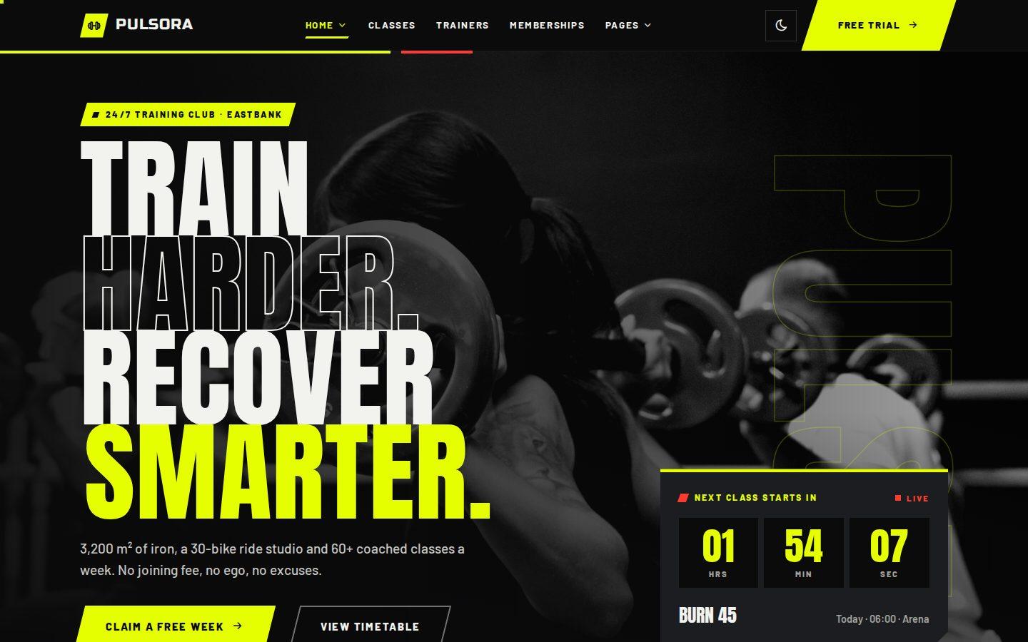 Pulsora home page preview